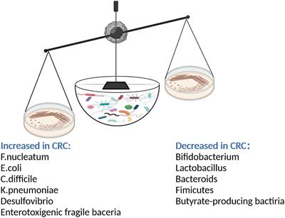 Therapeutic approaches to colorectal cancer via strategies based on modulation of gut microbiota